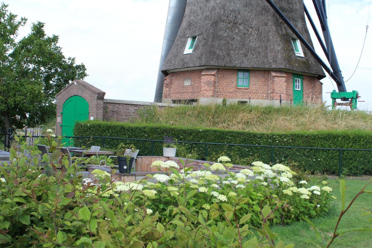 Bij Molen De Blazekop, Rustig En Landelijk Ovezande Kültér fotó